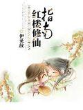 紅樓修仙指南小說