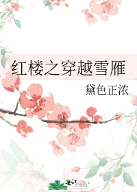 紅樓之穿越雪雁小說