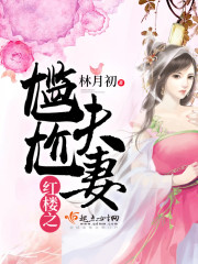 紅樓之尷尬夫妻小說