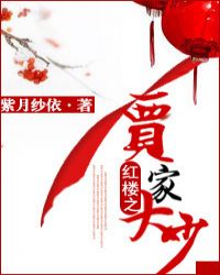 紅樓之賈家大少小說