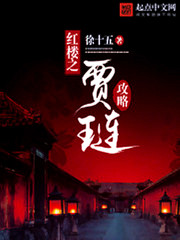 紅樓之賈璉攻略小說