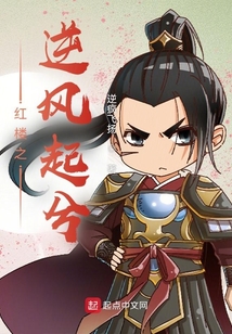 紅樓之逆風起兮小說