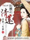 紅樓之清蓮小說