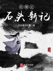 紅樓之石頭新記小說