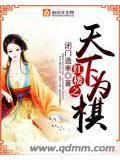 紅樓之天下爲棋小說