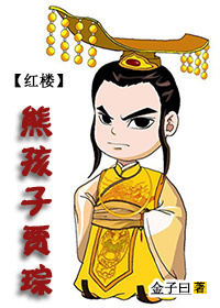 紅樓之熊孩子賈琮小說