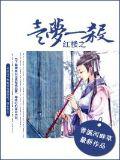 紅樓之一夢一殺小說