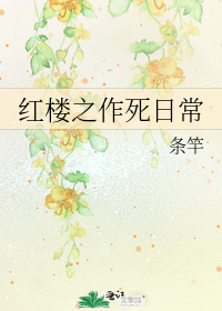 紅樓之作死日常小說