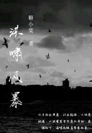 洪嘯風暴小說