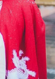 紅顏夢一場小說