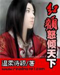 紅顏怒傾天下小說
