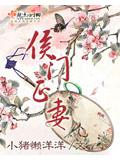 侯門正妻小說