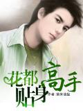 花都貼身高手小說
