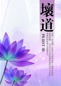 壞道小說