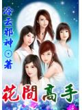 花間高手小說