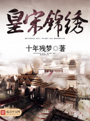 皇宋錦繡小說