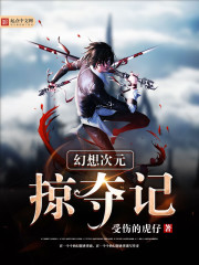 幻想次元掠奪記小說