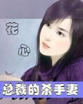 花心總裁的殺手妻小說