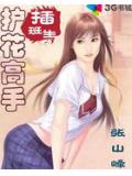 護花高手插班生小說