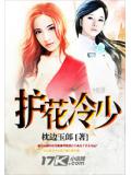護花冷少小說