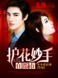 護花妙手在都市小說