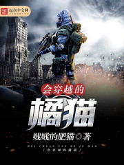 會穿越的橘貓小說