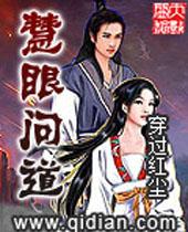慧眼問道小說