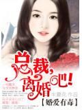 婚愛有毒：總裁，離婚吧！小說