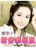 婚變ⅱ:新妻難馴服小說