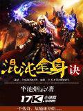混沌金身訣小說