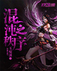混沌之秩序小說