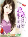 婚後試愛:總裁,別太無恥!小說