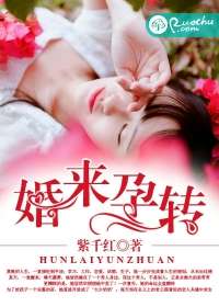 婚來孕轉小說