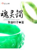 魂靈鐲小說