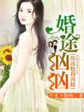 婚途洶洶：你出軌我再嫁小說