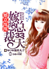 婚意綿綿,嫁給總裁33天小說