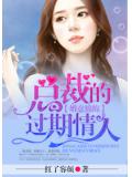 婚意綿綿：總裁的過期情人小說