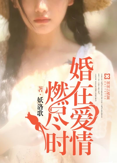 婚在愛情燃盡時小說