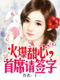 火爆甜心，首席請簽字小說