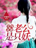 虎嗅薔薇 老公是隻妖小說