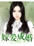 嫁愛成婚小說