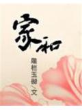 家和小說