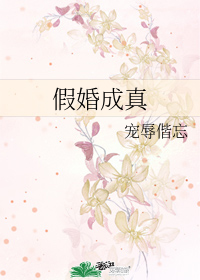假婚成真小說