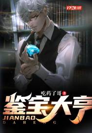 鑑寶大亨小說