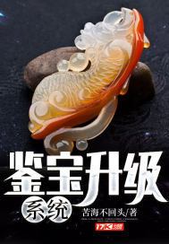鑑寶升級系統小說