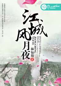 江城風月夜小說