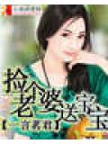 撿個老婆送寶寶小說