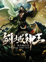 劍域神王小說