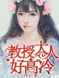 教授大人好高冷小說