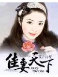 佳妻天下小說